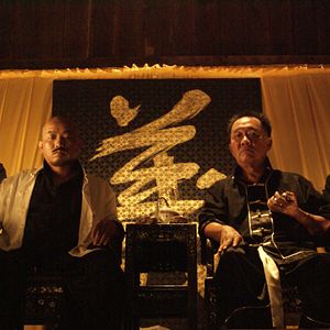 Bilder Fighting Tiger