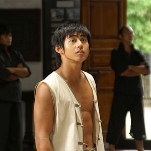 Bilder Fighting Tiger