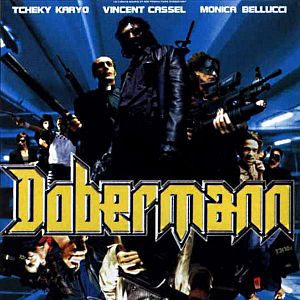 Bilder Dobermann