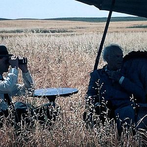 Bilder In der Glut des Südens