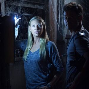 Bilder Joshua Jackson