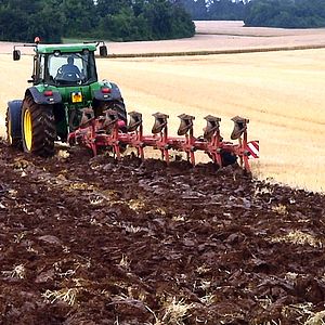 Bilder Good Food, Bad Food - Anleitung für eine bessere Landwirtschaft