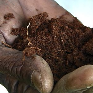 Bilder Good Food, Bad Food - Anleitung für eine bessere Landwirtschaft