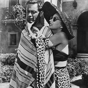 Bilder Gloria Swanson