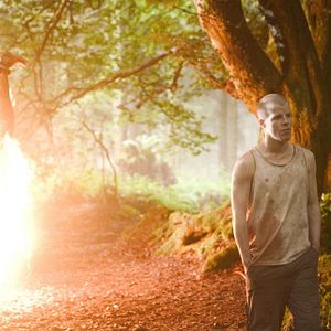 Bilder Stephen Wright