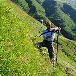 Bilder Erich Gwerder