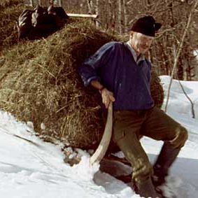 Bilder Erich Gwerder