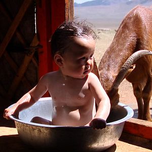 Bilder Thomas Balmès