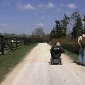 Bilder Ein Leben für die Pferde