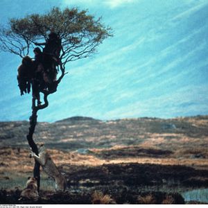 Bilder Everett McGill