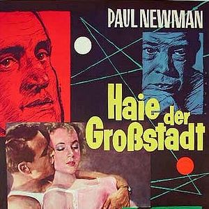 Bilder Haie der Großstadt