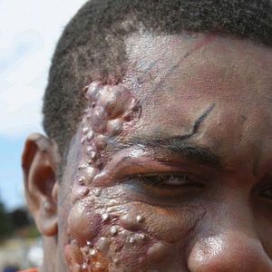 Bilder Masters of Horror: Homecoming