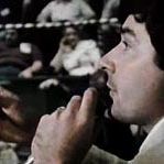 Bilder How Much Wood Would A Woodchuck Chuck