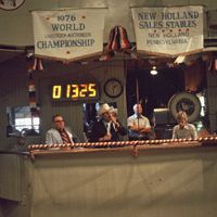 Bilder How Much Wood Would A Woodchuck Chuck