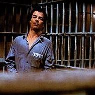 Bilder Darwin Joston