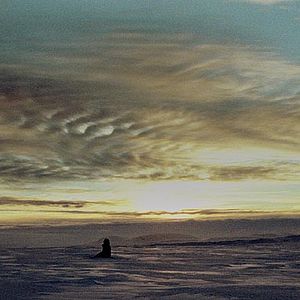 Bilder Maria Schrader