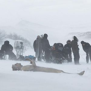 Bilder The Last Winter