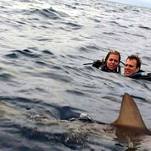 Bilder Blanchard Ryan