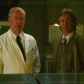 Bilder Andrew Kirsanov