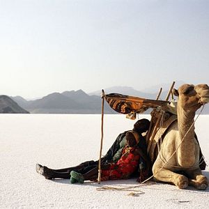 Bilder Asma Nouman Aden