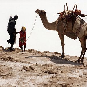 Bilder Asma Nouman Aden