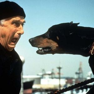 Bilder Die nackte Kanone 2 ½