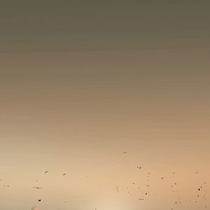 Bilder Azharuddin Mohammed Ismail