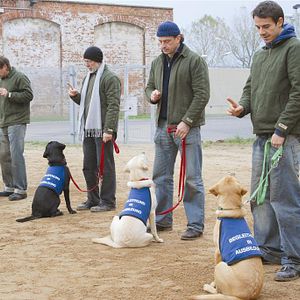 Bilder Thorsten Merten