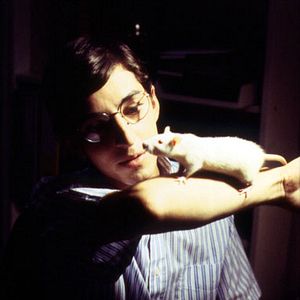 Bilder Adrien de Van