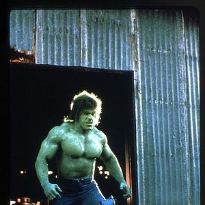 Bilder Lou Ferrigno