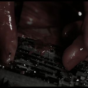 Bilder The Wizard Of Gore