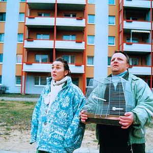 Bilder Steffi Kühnert