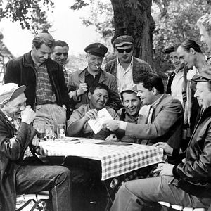 Bilder Rosen für den Staatsanwalt