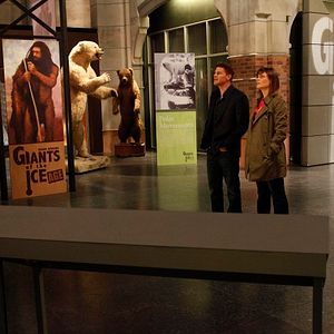 Bilder David Boreanaz