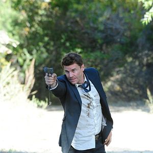 Bilder David Boreanaz