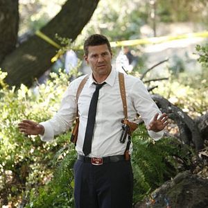 Bilder David Boreanaz