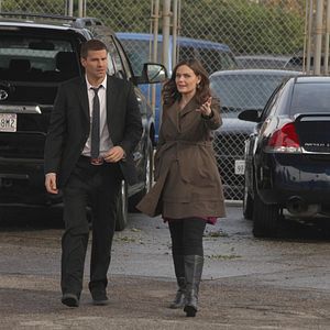 Bilder David Boreanaz