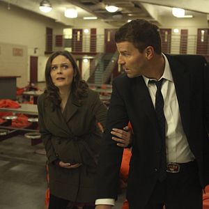 Bilder David Boreanaz