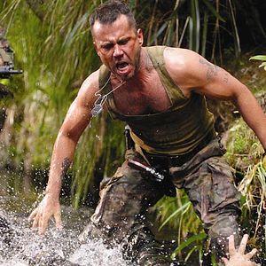 Bilder David Millbern