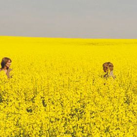 Bilder Kirsten Block