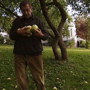 Bilder Günter Grass