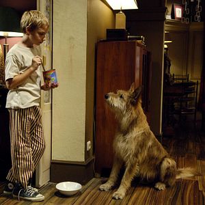 Bilder Manuel Steitz