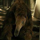 Bilder Kingdom Hospital