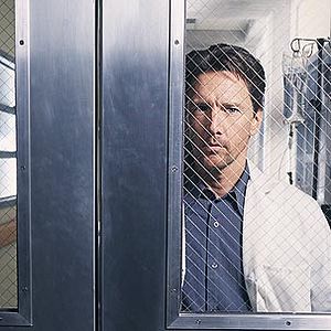 Bilder Kingdom Hospital