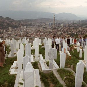 Bilder Reinout Bussemaker