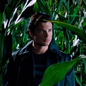 Bilder Tom Welling