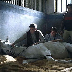 Bilder Raúl Mérida