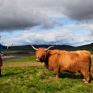 Bilder Alexandre Charlot