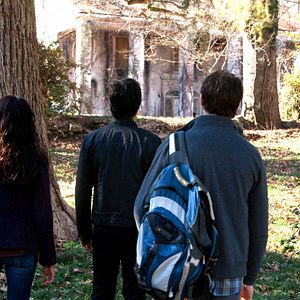 Bilder Steven R. McQueen