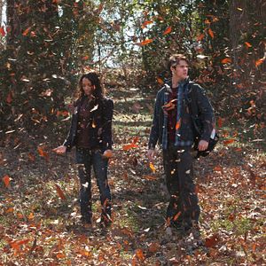 Bilder Steven R. McQueen